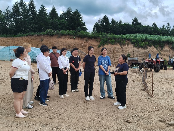 图片11.jpg 图片11.jpg