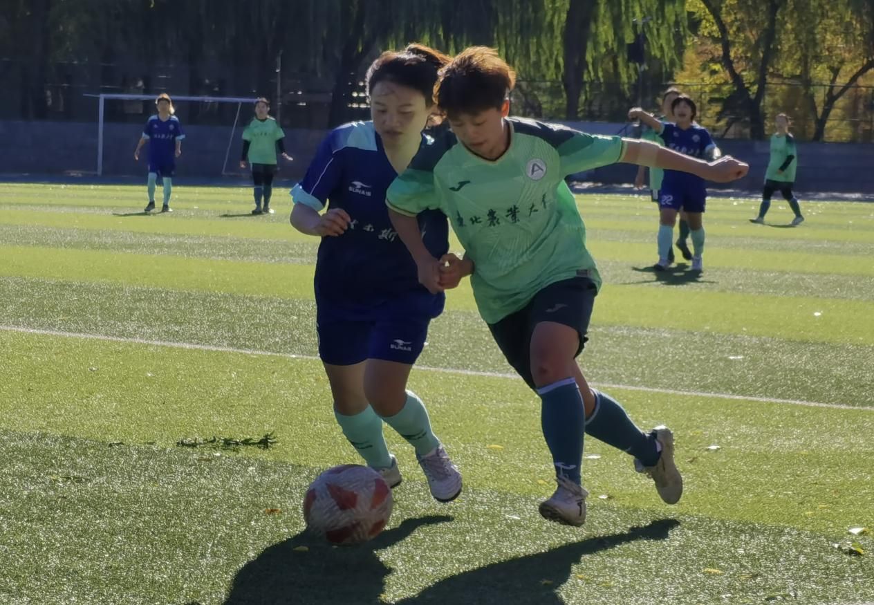 微信图片_20241016083729 微信图片_20241016083729