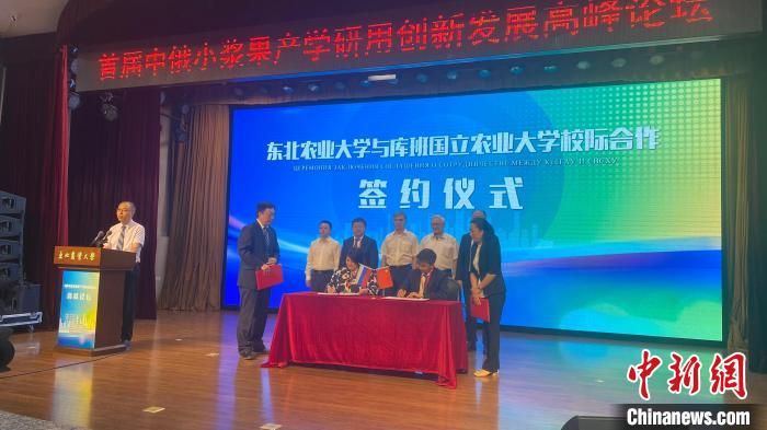 首届中俄小浆果产学研用创新发展高峰论坛在哈尔滨举行。　王妮娜 摄