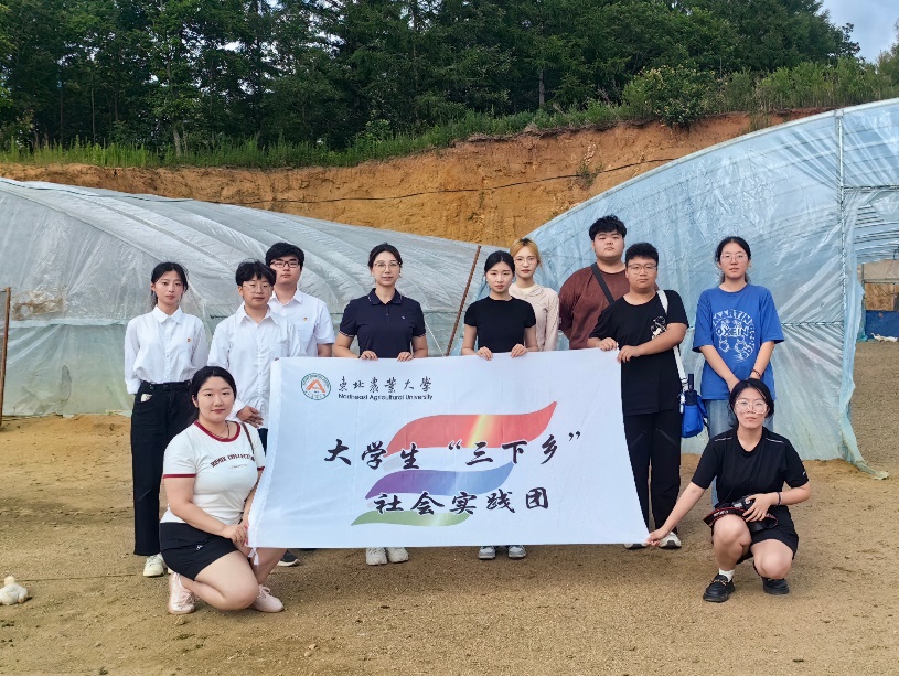 图片10.jpg 图片10.jpg