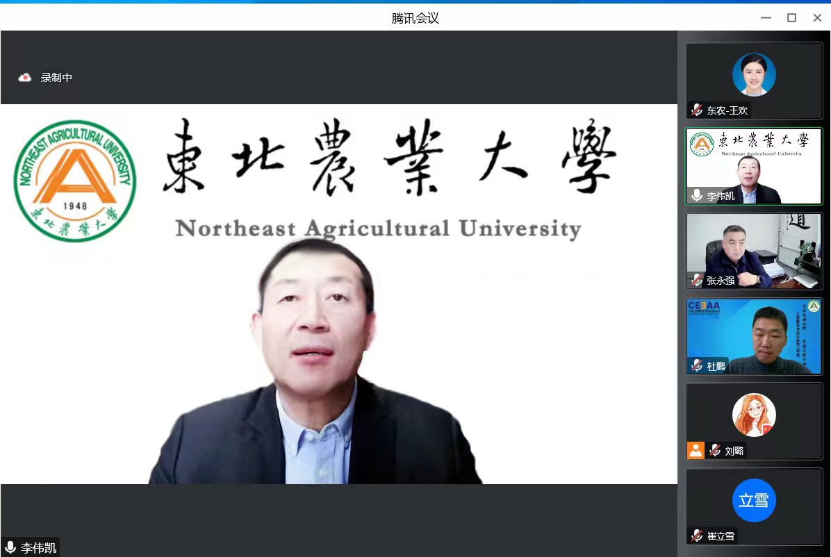 O1CN01qpkz5l1ou7cHIAB3J_!!1013335284-0-ampmedia